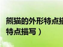 熊貓的外形特點(diǎn)描寫二年級(jí)作文（熊貓的外形特點(diǎn)描寫）