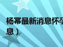 楊冪最新消息懷孕二胎是真的嗎（楊冪最新消息）