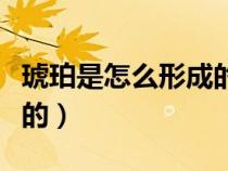 琥珀是怎么形成的文字筆記(琥珀是怎么形成的) 琥珀是怎么形成的文字筆記(琥珀是怎么形成的)