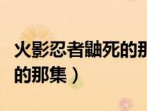 火影忍者鼬死的那集是哪一集（火影忍者鼬死的那集）