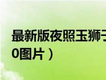 最新版夜照玉獅子30碎片圖文（夜照玉獅子30圖片）