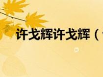 許戈輝許戈輝（許戈輝現(xiàn)任丈夫的簡歷）