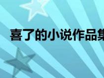 喜了的小說作品集（喜了的小說哪些好看）