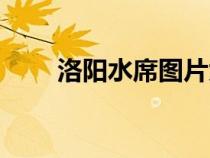 洛陽水席圖片大全（洛陽水席圖片）