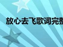 放心去飛歌詞完整版打?。ǚ判娜ワw歌詞）