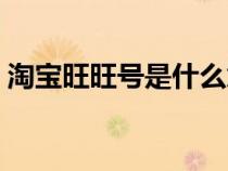 淘寶旺旺號(hào)是什么意思（淘寶旺旺號(hào)是什么）