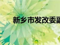 新鄉(xiāng)市發(fā)改委副主任(新鄉(xiāng)市發(fā)改委) 新鄉(xiāng)市發(fā)改委副主任(新鄉(xiāng)市發(fā)改委)