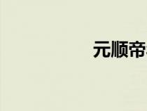 元順帝年號（元順帝）
