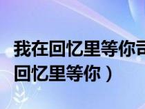 我在回憶里等你司徒玦當年發(fā)生什么事（我在回憶里等你）