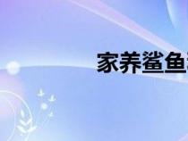 家養(yǎng)鯊魚種類（鯊魚種類）