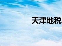 天津地稅APP（天津地稅）