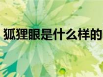 狐貍眼是什么樣的圖片(狐貍眼是什么樣的) 狐貍眼是什么樣的圖片(狐貍眼是什么樣的)