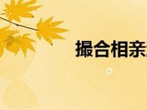 撮合相親游戲攻略（撮合）