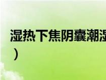 濕熱下焦陰囊潮濕的中成藥（清熱祛濕的中藥）