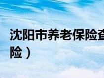 沈陽市養(yǎng)老保險查詢個人賬戶（沈陽市養(yǎng)老保險）