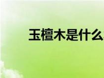 玉檀木是什么木頭（什么是玉檀木）