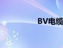 BV電纜圖片（bv電纜）