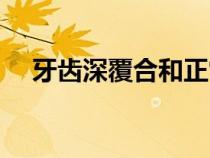 牙齒深覆合和正常對(duì)比圖片（對(duì)比圖片）