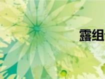 露組詞（霸組詞）