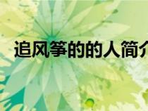 追風(fēng)箏的的人簡(jiǎn)介(追風(fēng)箏的人人物簡(jiǎn)介) 追風(fēng)箏的的人簡(jiǎn)介(追風(fēng)箏的人人物簡(jiǎn)介)