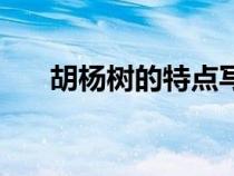 胡楊樹的特點(diǎn)寫一頁(胡楊樹的特點(diǎn)) 胡楊樹的特點(diǎn)寫一頁(胡楊樹的特點(diǎn))