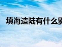 填海造陸有什么影響（填海造陸的利與弊）