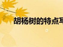 胡楊樹的特點(diǎn)寫一頁（胡楊樹的特點(diǎn)）