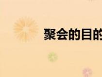 聚會(huì)的目的在線觀看天才影院