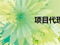 項目代理制（項目代理）