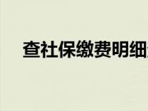 查社保繳費(fèi)明細(xì)查詢（查社保繳費(fèi)明細(xì)）