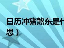日歷沖豬煞東是什么意思（沖豬煞東是什么意思）