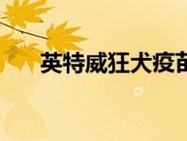 英特威狂犬疫苗多少錢一針（英特威）