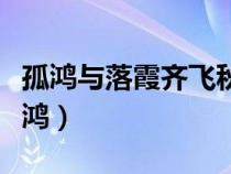 孤鴻與落霞齊飛秋水共長天一色什么意思（孤鴻）