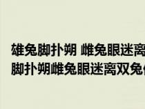 雄兔腳撲朔 雌兔眼迷離 雙兔傍地走 安能辨我是雄雌?(雄兔腳撲朔雌兔眼迷離雙兔傍地走安能辨我是雄雌) 雄兔腳撲朔 雌兔眼迷離 雙兔傍地走 安能辨我是雄雌?(雄兔腳撲朔雌兔眼迷離雙兔傍地走安能辨我是雄雌)