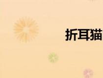 折耳貓圖片（折耳貓）