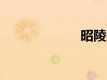 昭陵圖片(昭陵) 昭陵圖片(昭陵)