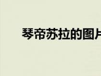 琴帝蘇拉的圖片(琴帝漫畫蘇拉圖片) 琴帝蘇拉的圖片(琴帝漫畫蘇拉圖片)