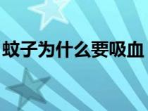 蚊子為什么要吸血 科普(蚊子為什么要吸血) 蚊子為什么要吸血 科普(蚊子為什么要吸血)