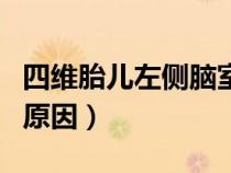 四維胎兒左側(cè)腦室增寬的原因（側(cè)腦室增寬的原因）