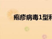 皰疹病毒1型和2型區(qū)別（皰疹病毒）
