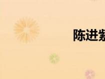 陳進(jìn)紫砂壺（陳進(jìn)）