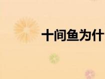 十間魚為什么沒人養(yǎng)（十間魚）