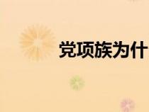 黨項(xiàng)族為什么姓拓跋(黨項(xiàng)族) 黨項(xiàng)族為什么姓拓跋(黨項(xiàng)族)