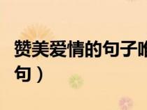 贊美愛情的句子唯美短句（愛情的句子唯美短句）