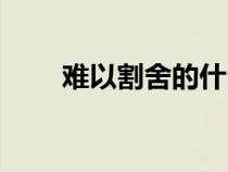 難以割舍的什么（難以割舍的人們）