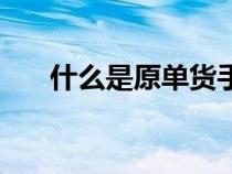什么是原單貨手表呢（什么是原單貨）