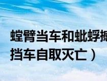 螳臂當(dāng)車和蚍蜉撼樹（蚍蜉撼樹不自量力螳臂擋車自取滅亡）