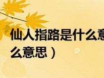 仙人指路是什么意思生肖動(dòng)物（仙人指路是什么意思）