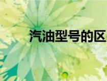 汽油型號(hào)的區(qū)別是什么（汽油型號(hào)）