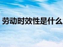 勞動時(shí)效性是什么意思（時(shí)效性是什么意思）